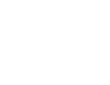 Elecard
