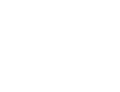miniCASTER