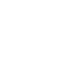 Mirror Image