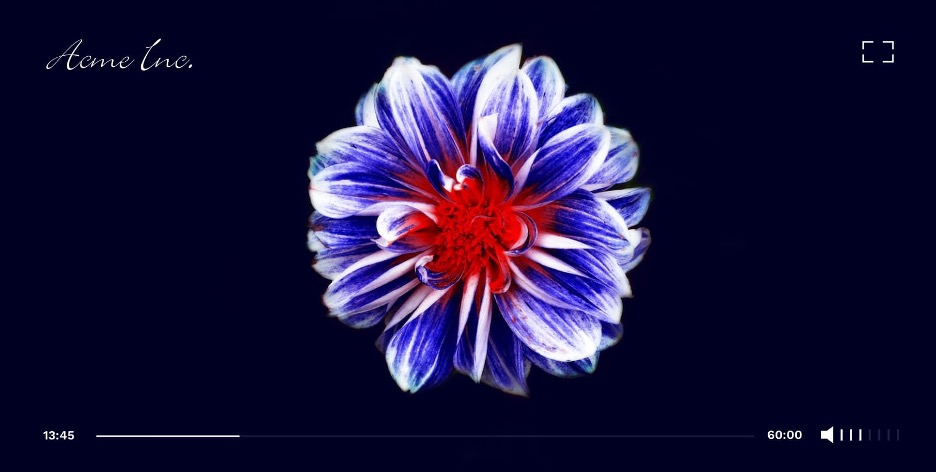 Flowplayer HTML5 player with highly visual image of a blue, white, and red flower blooming.