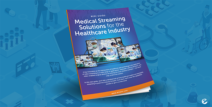 Thumbnail image of the Mini Guide: Medical Streaming Solutions for the Healthcare Industry.