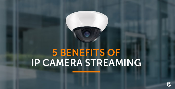 toegang bende blauwe vinvis 5 Benefits of IP Camera Streaming | Video | Wowza Media Systems