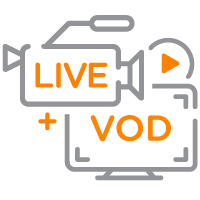 vod and live streaming icon