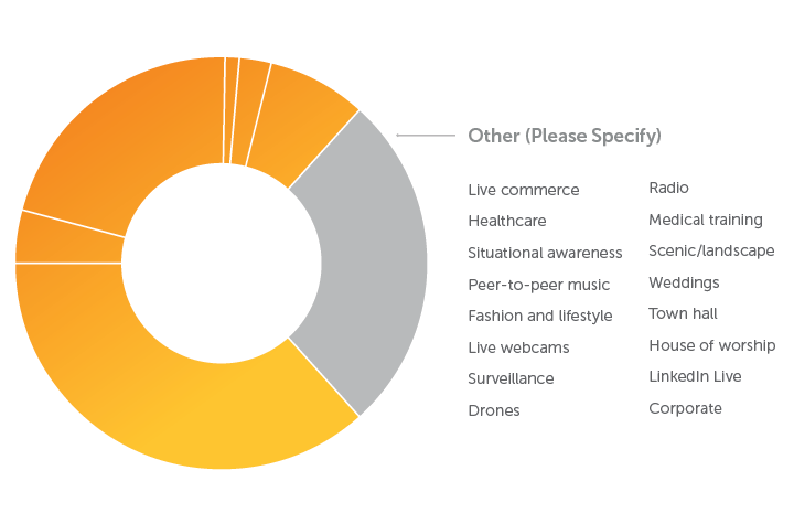 Pie Chart: Use Cases Outside of Categories Provided