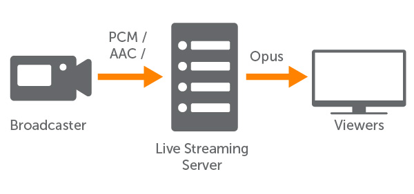 RTMP to WebRTC Workflow With Opus Transcoding