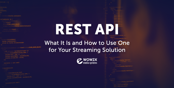 What Is a REST API and What Can It Do for You?