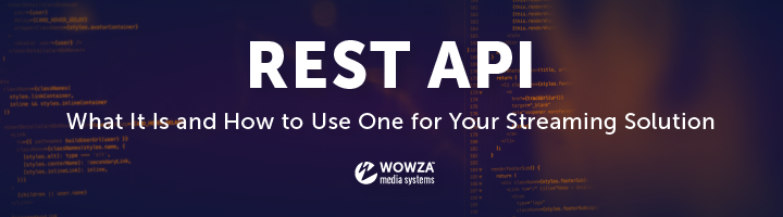 What Is a REST API and What Can It Do for You?
