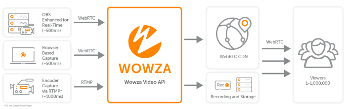ワークフロー: Wowza Video の大規模なリアルタイム ストリーミング