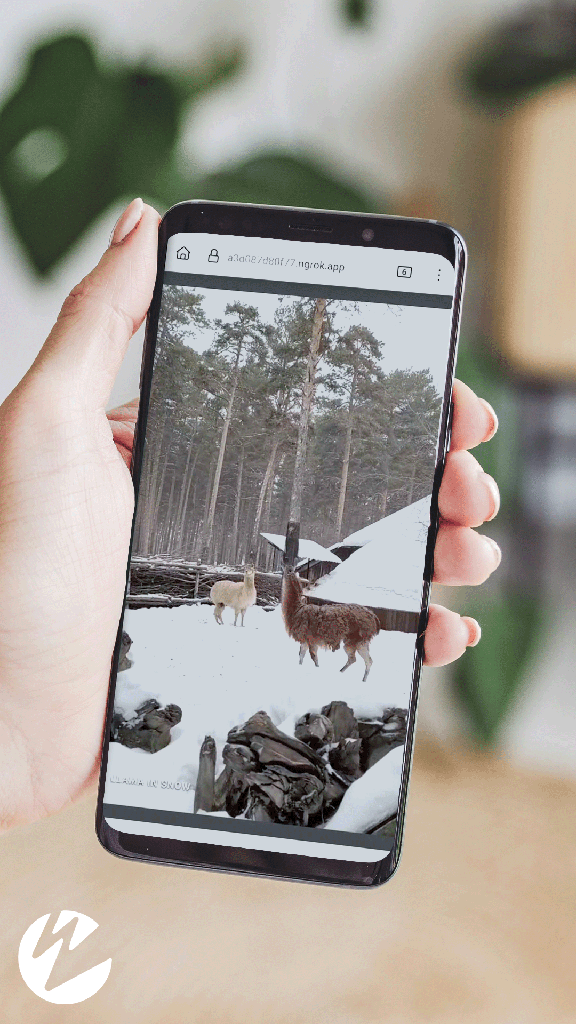 Short form video on a mobile phone of llamas in the snow