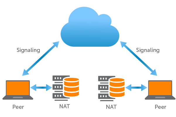 Signaling Workflow