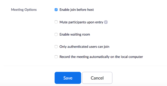 Zoom Meeting Options Pane