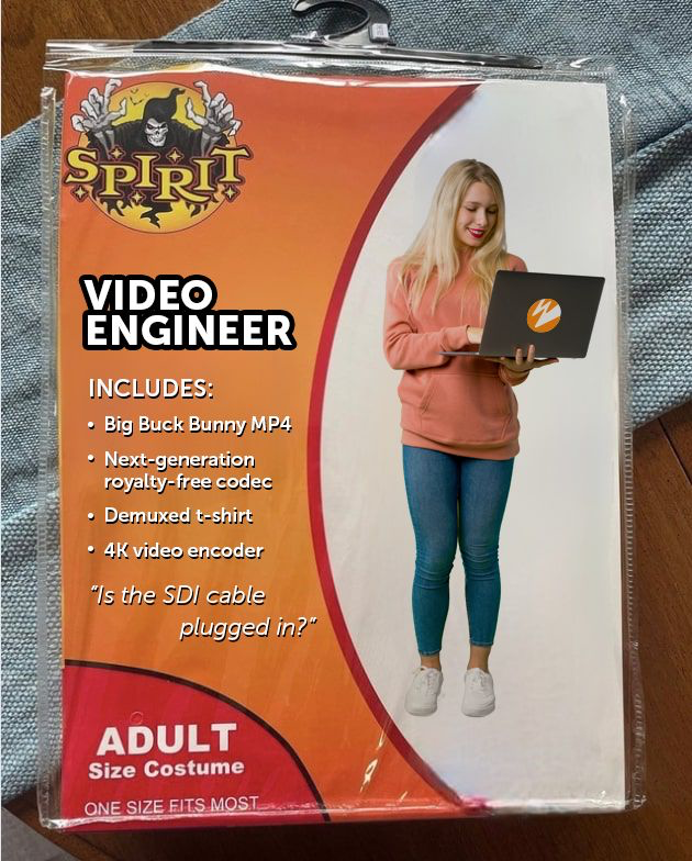 a Spirit Halloween Meme showing a packaged Halloween costume for a video engineer, with a picture of a blonde woman on her laptop wearing jeans and a sweater.